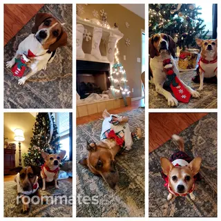 Room for rent in Fayetteville, NC $600, house