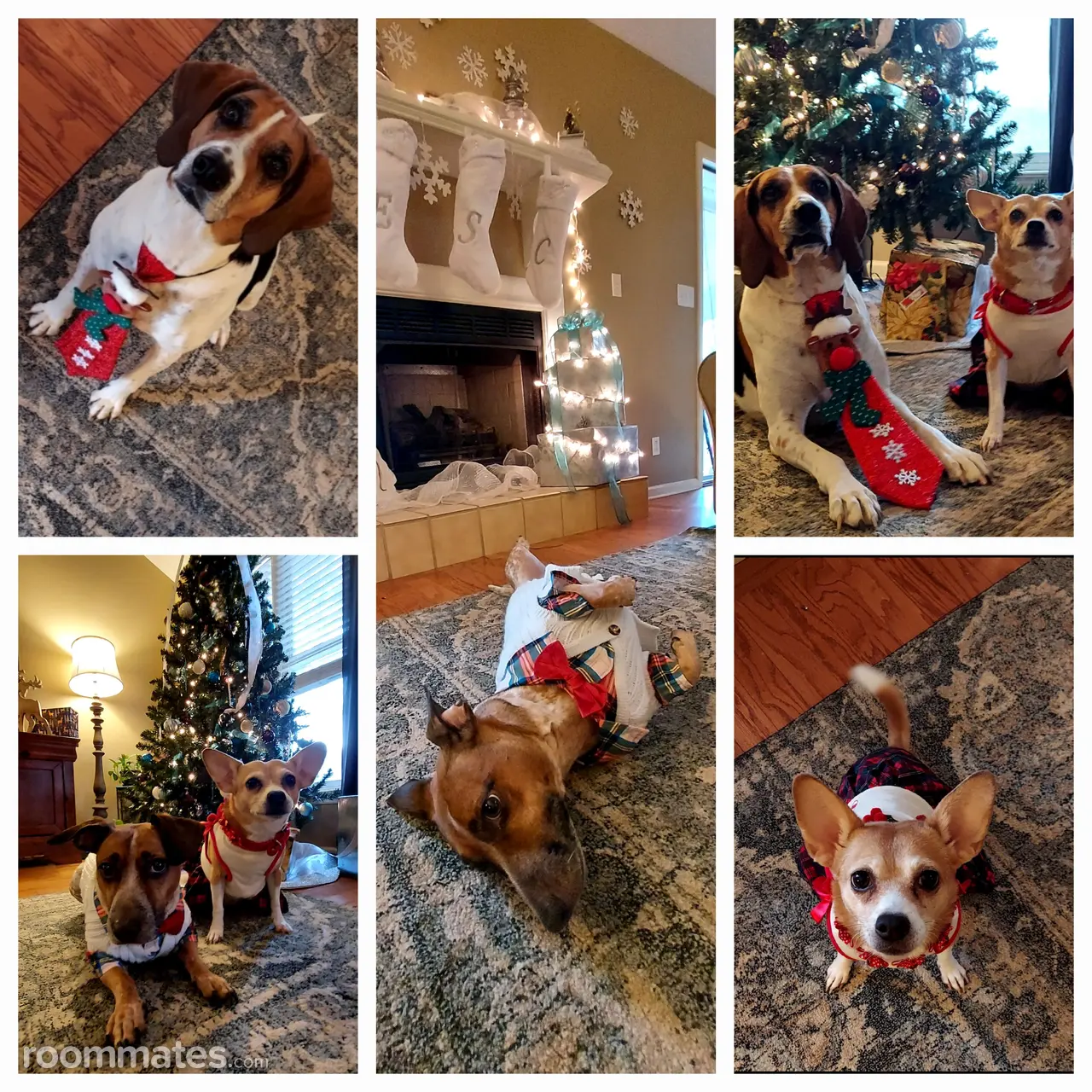 Profile photo 10 of 14