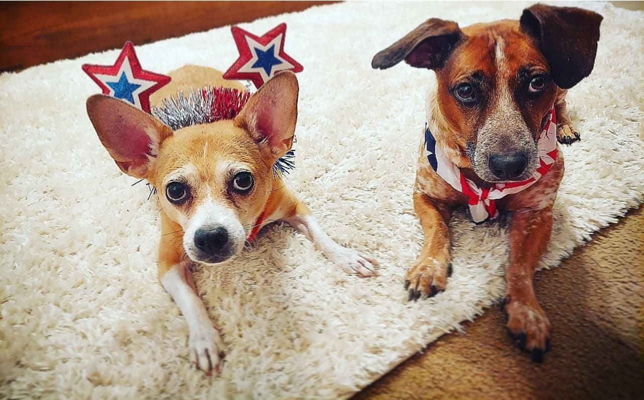 Profile photo 12 of 14