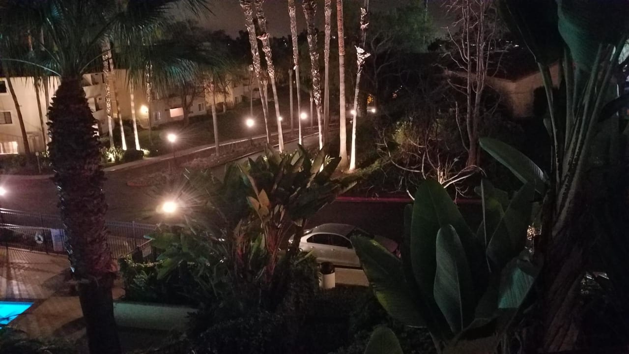 Profile photo 7 of 11