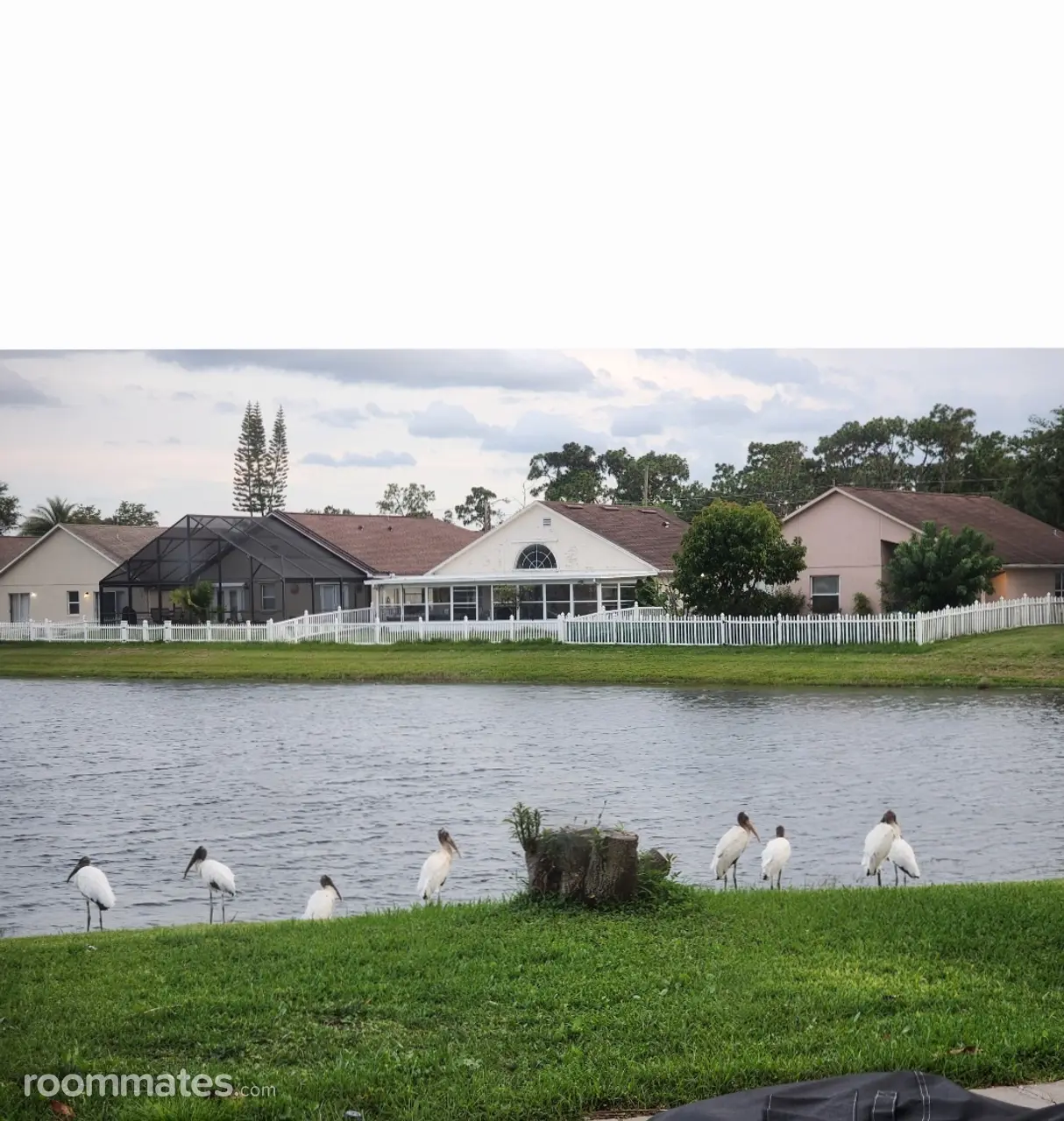 Profile photo 8 of 9