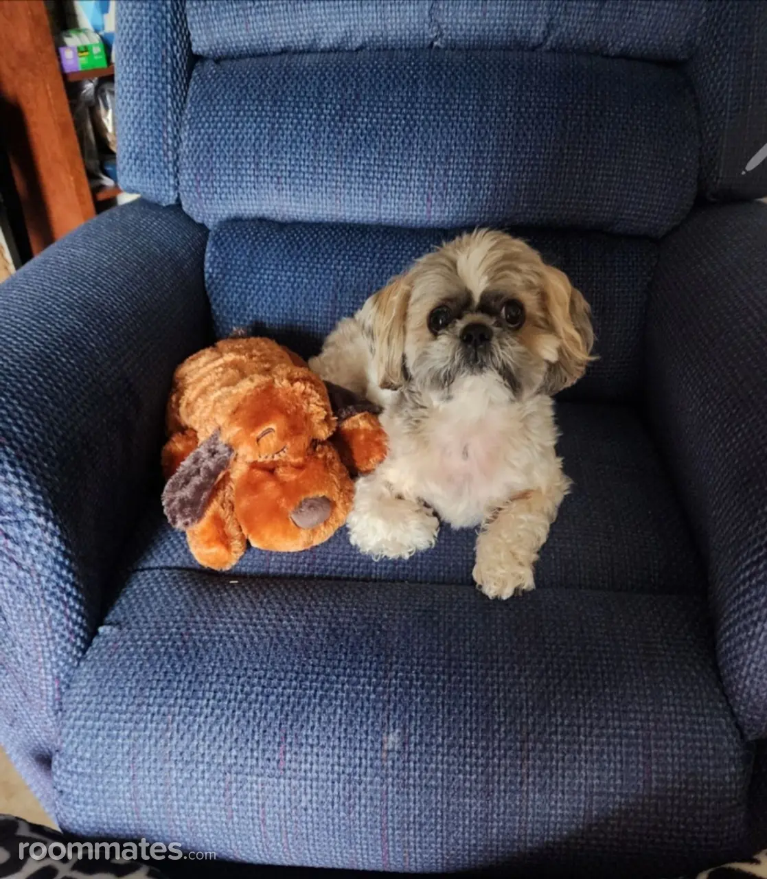 Profile photo 9 of 9