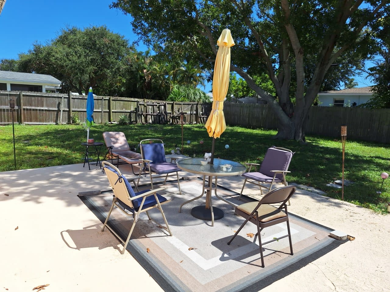 Profile photo 10 of 12