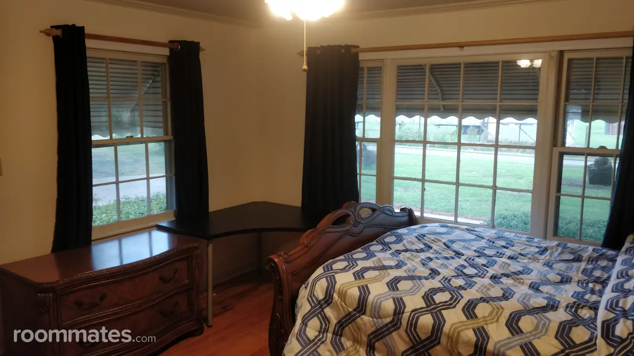 Profile photo 4 of 11