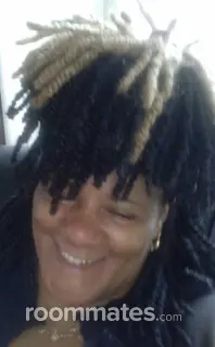 Roommate looking Pickerington, OH, $500