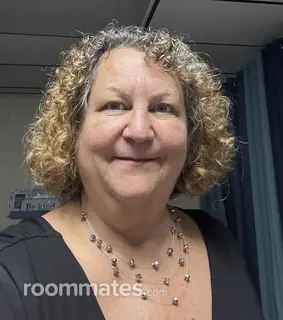 Roommate looking Tampa, FL, $1000