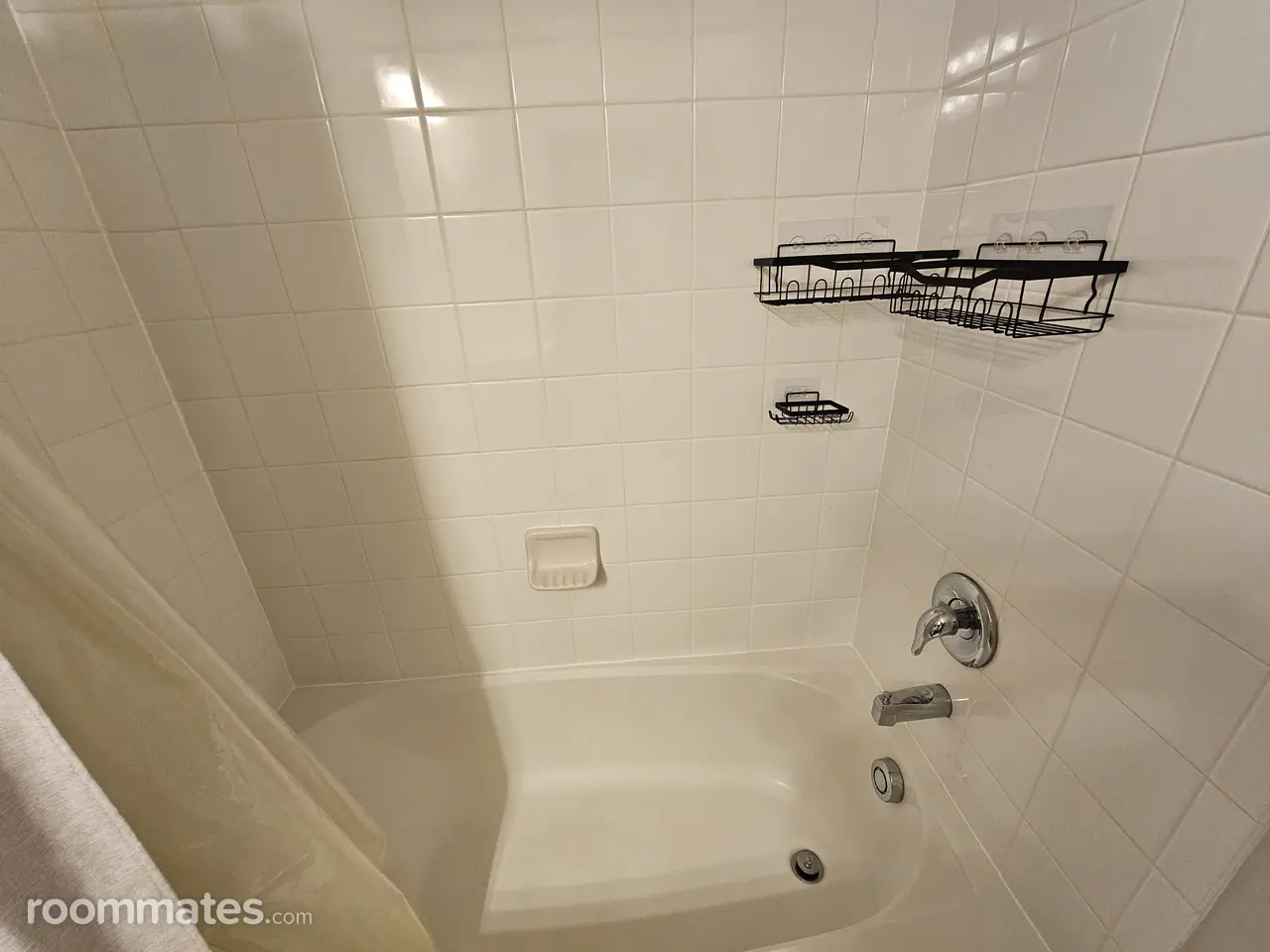 Profile photo 8 of 11