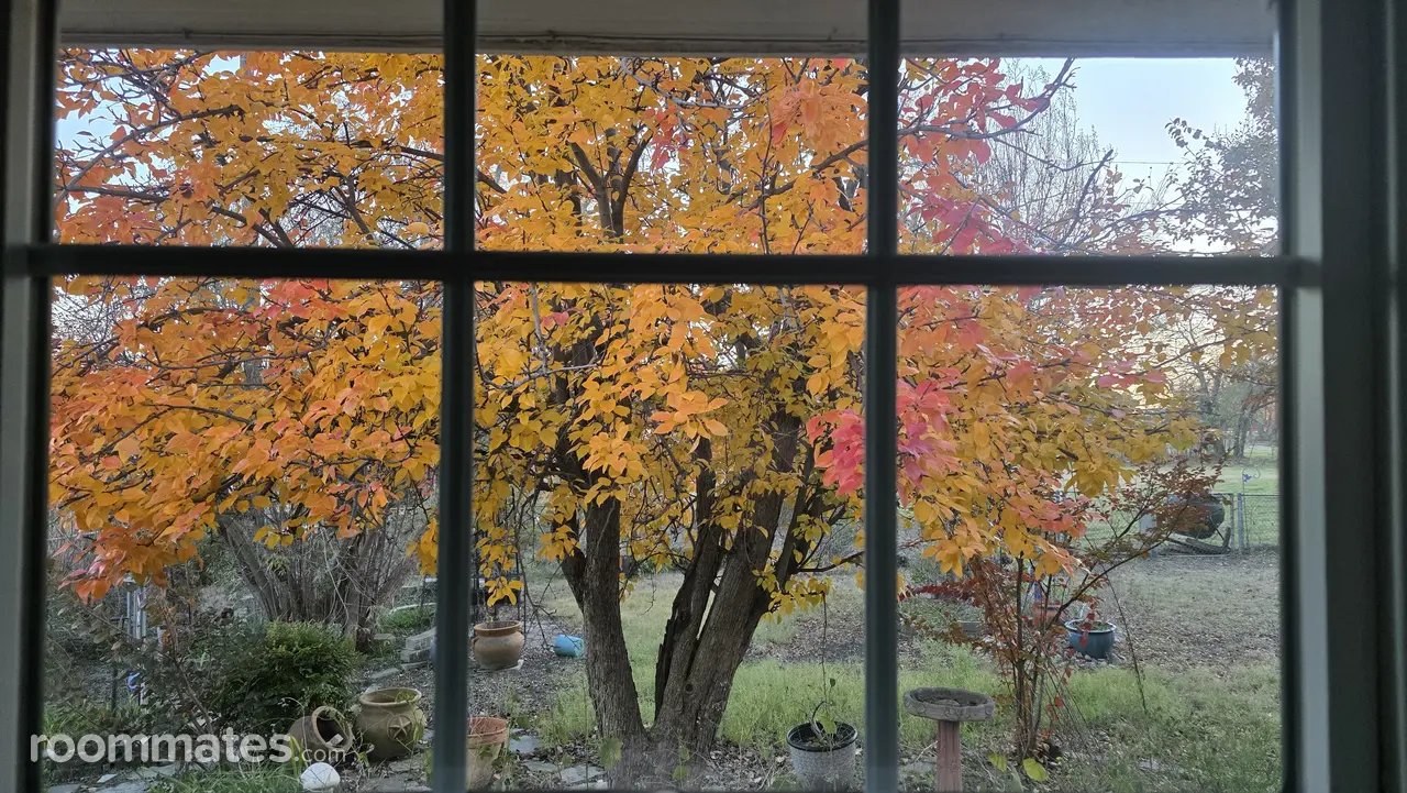 Profile photo 5 of 5