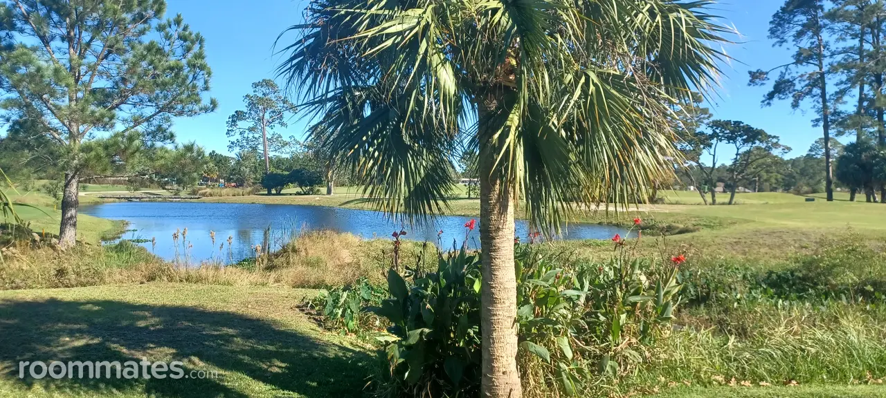 Profile photo 8 of 17