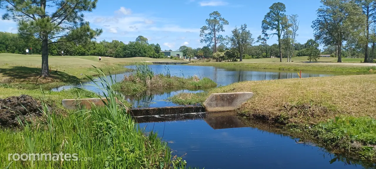 Profile photo 6 of 17