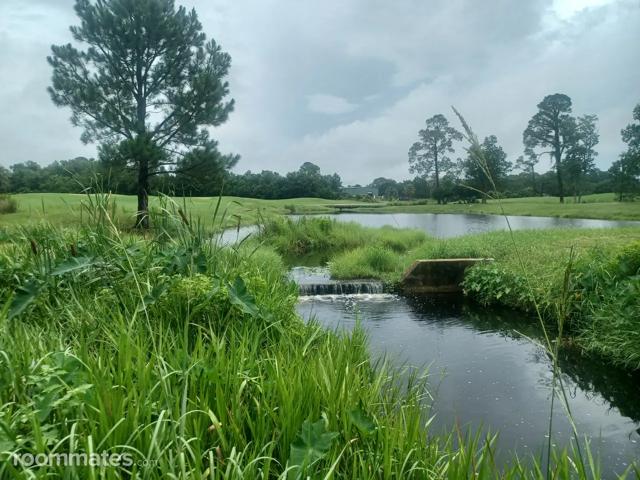 Profile photo 9 of 17