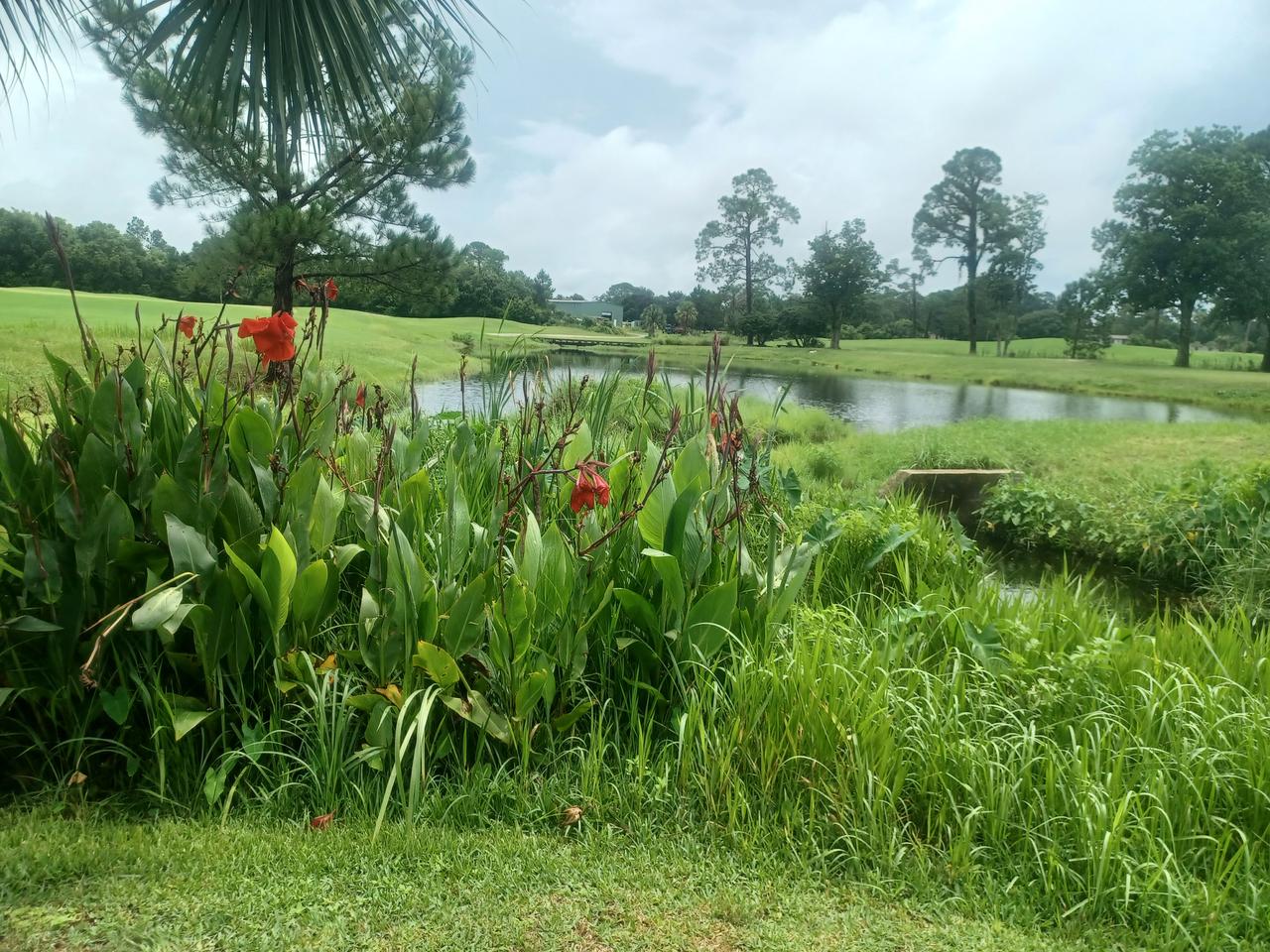 Profile photo 16 of 17