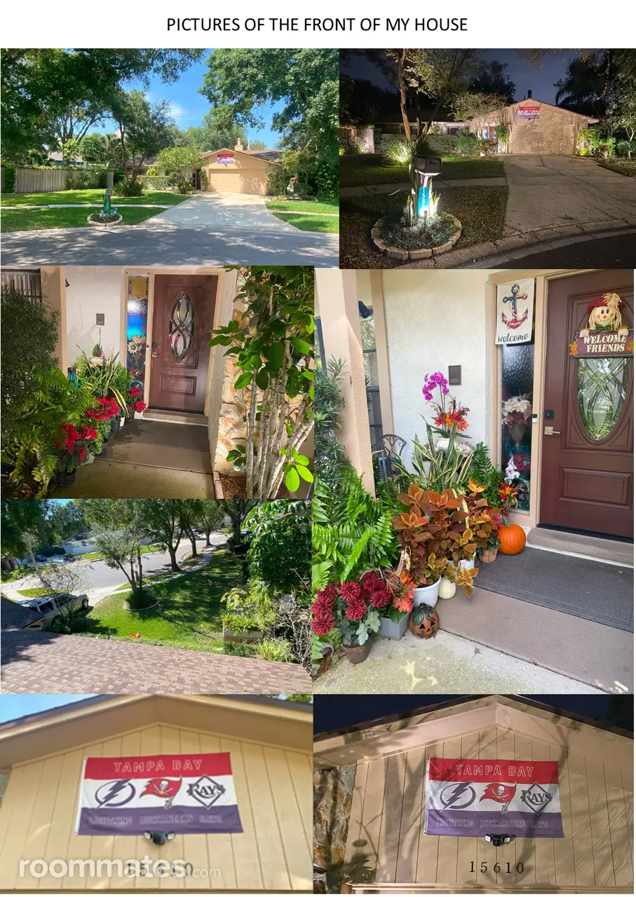 Profile photo 17 of 19