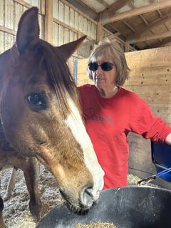 Room for rent in Elgin, IL $600, house