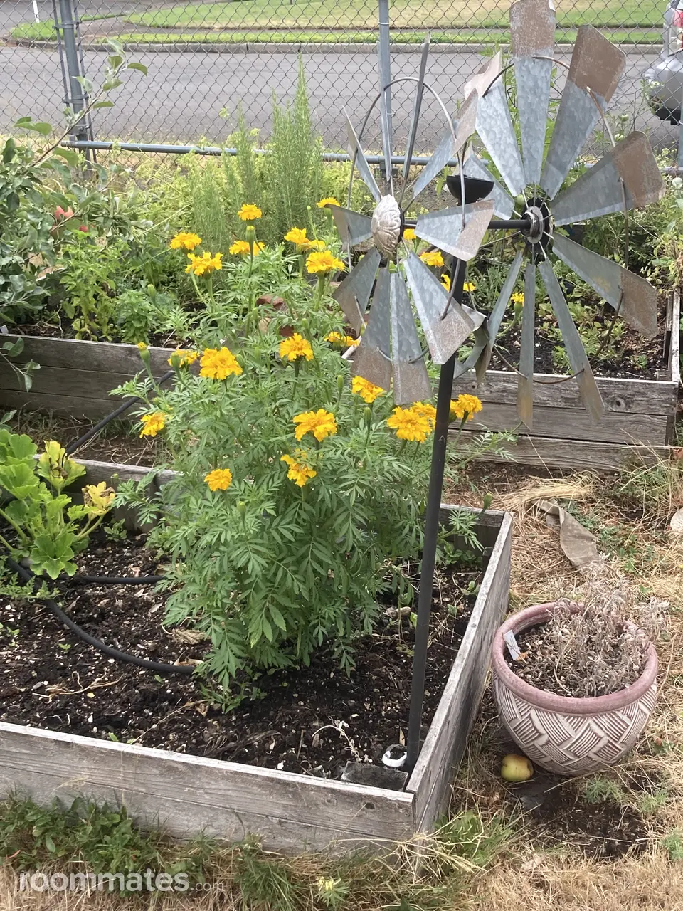 Profile photo 17 of 19