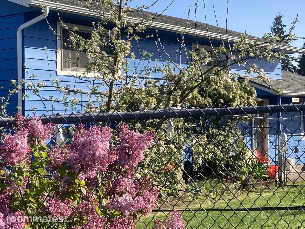 Profile photo 2 of 19