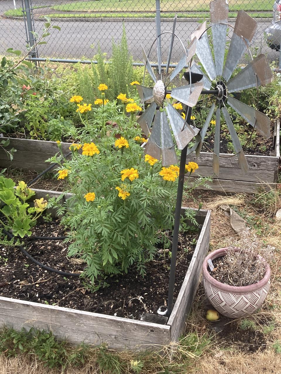 Profile photo 9 of 19