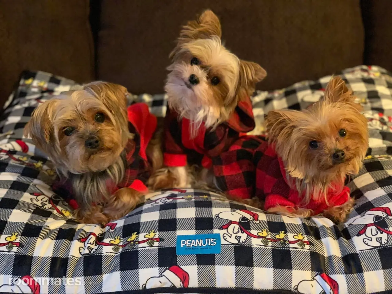 Profile photo 13 of 15