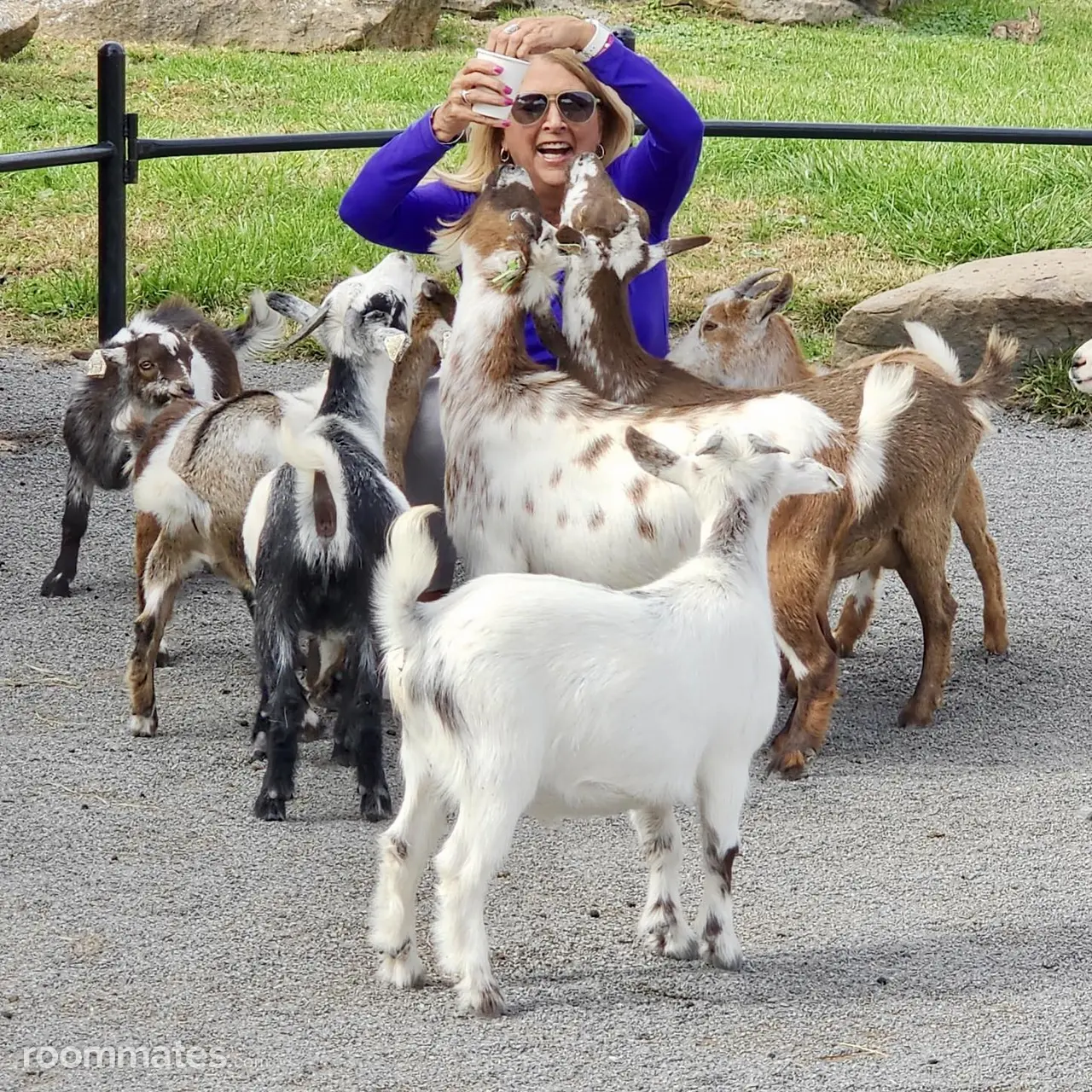 Profile photo 11 of 15