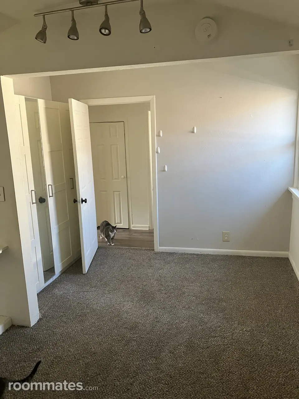 Profile photo 4 of 8