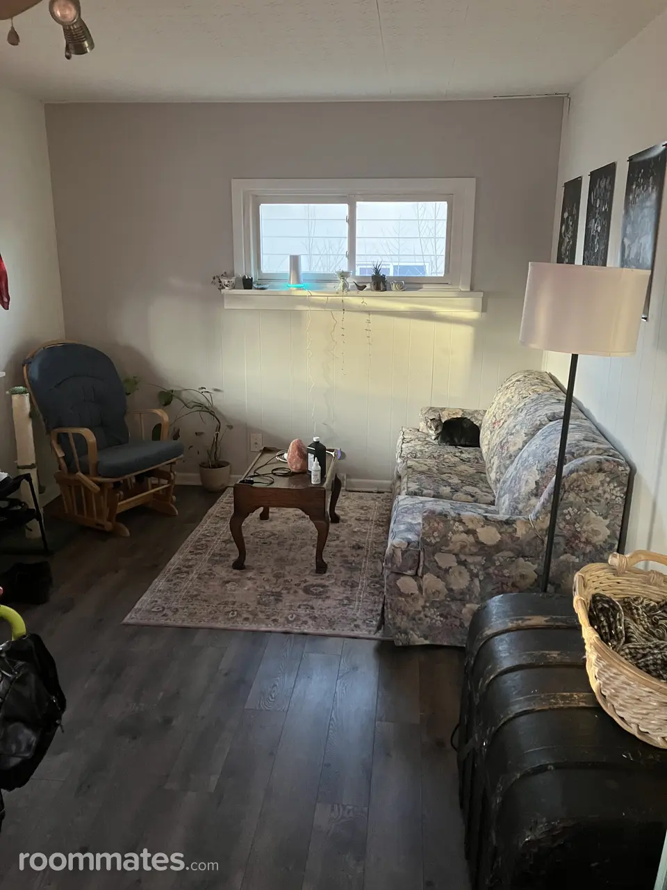 Profile photo 7 of 8