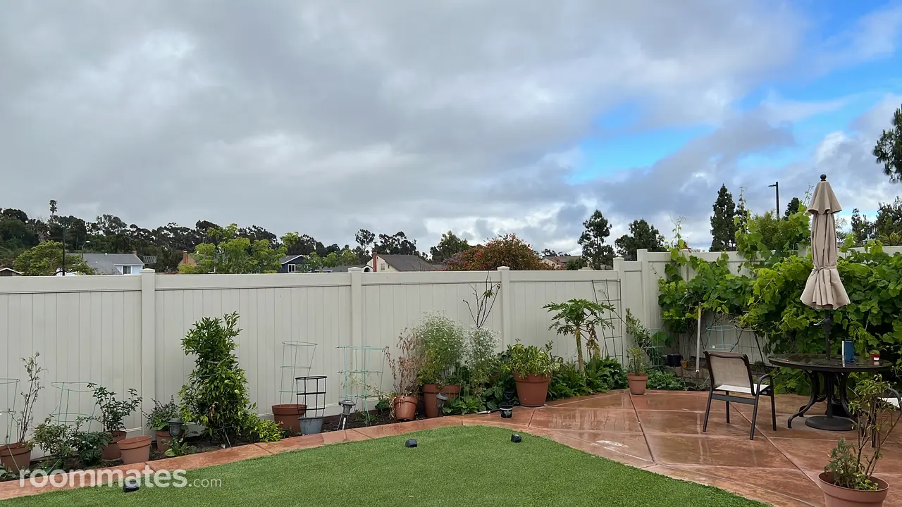 Profile photo 15 of 16