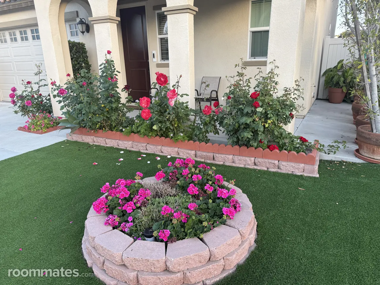 Profile photo 16 of 16