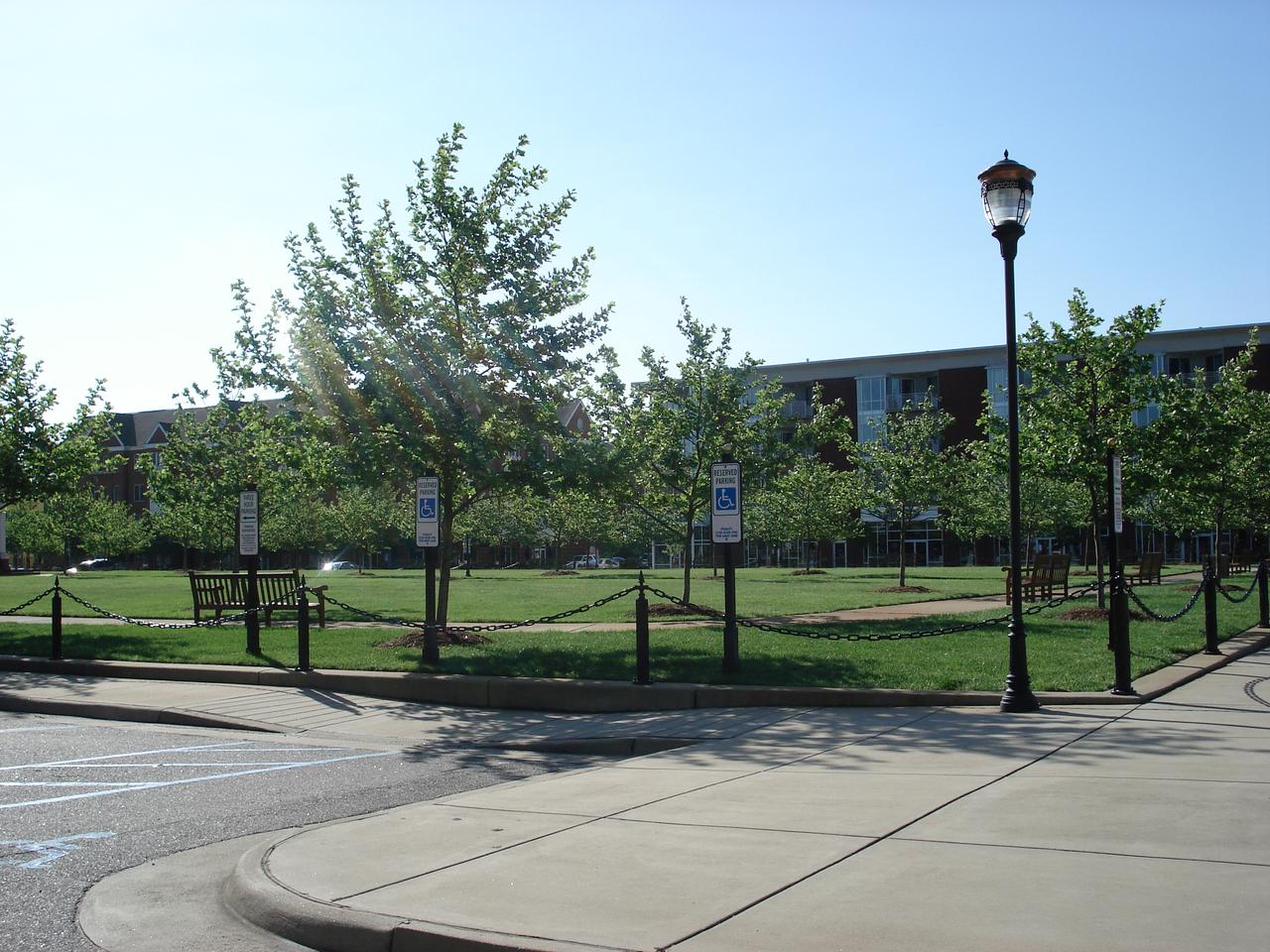 Profile photo 10 of 13