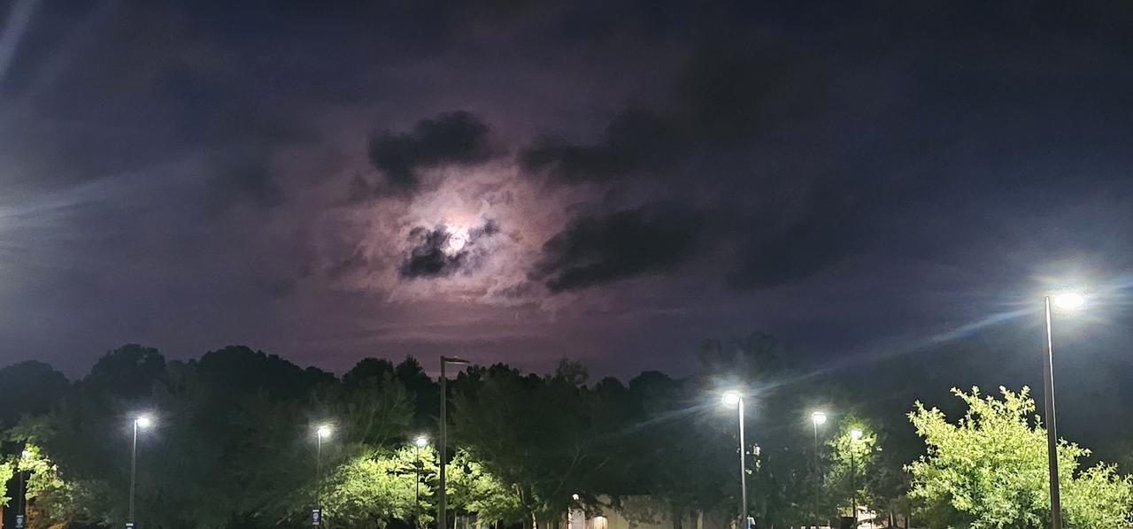 Profile photo 1 of 1