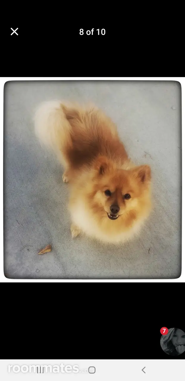 Profile photo 10 of 14