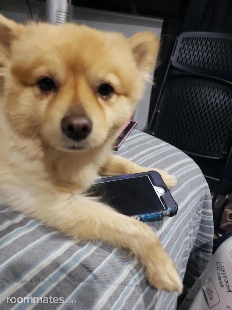 Profile photo 13 of 14