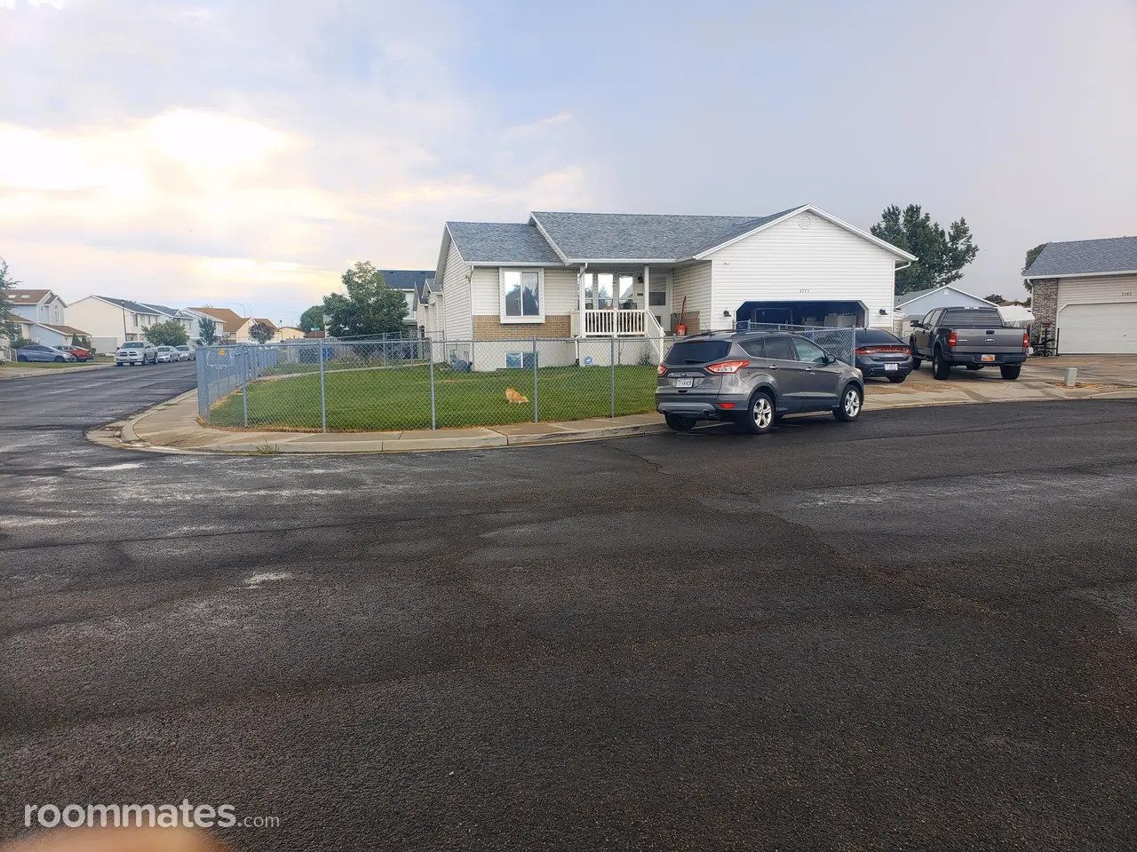 Profile photo 11 of 14