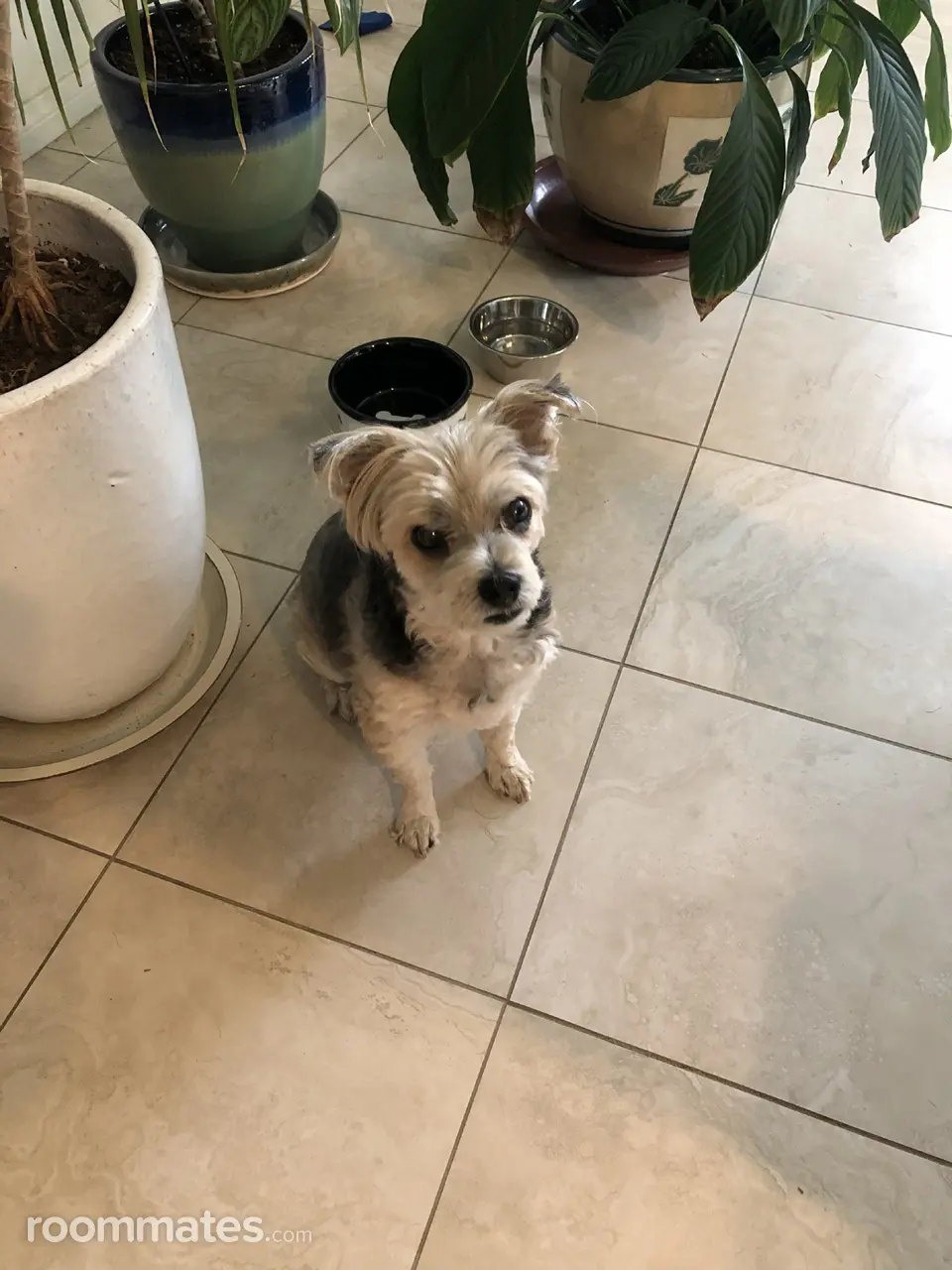 Profile photo 1 of 2