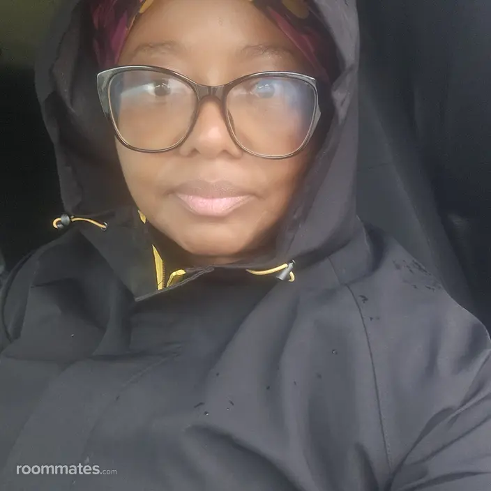 Roommate looking Detroit, MI, $500
