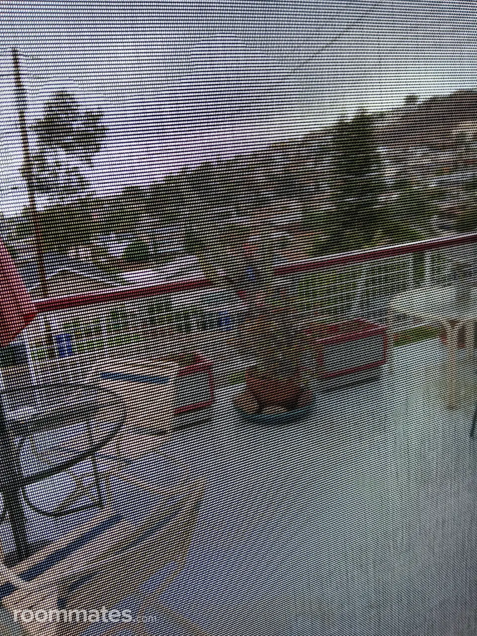 Profile photo 9 of 15