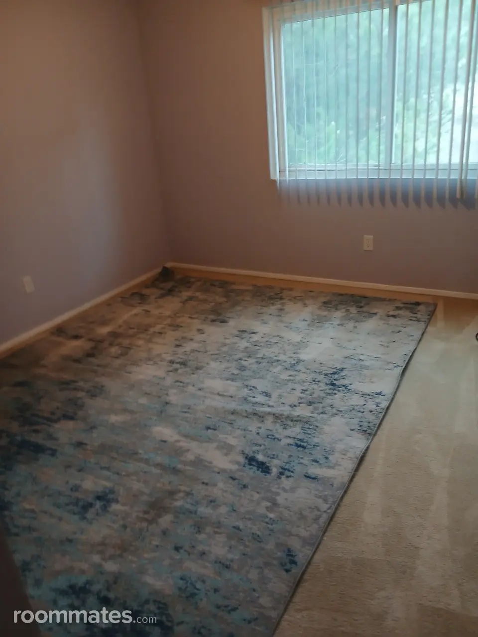 Profile photo 6 of 15