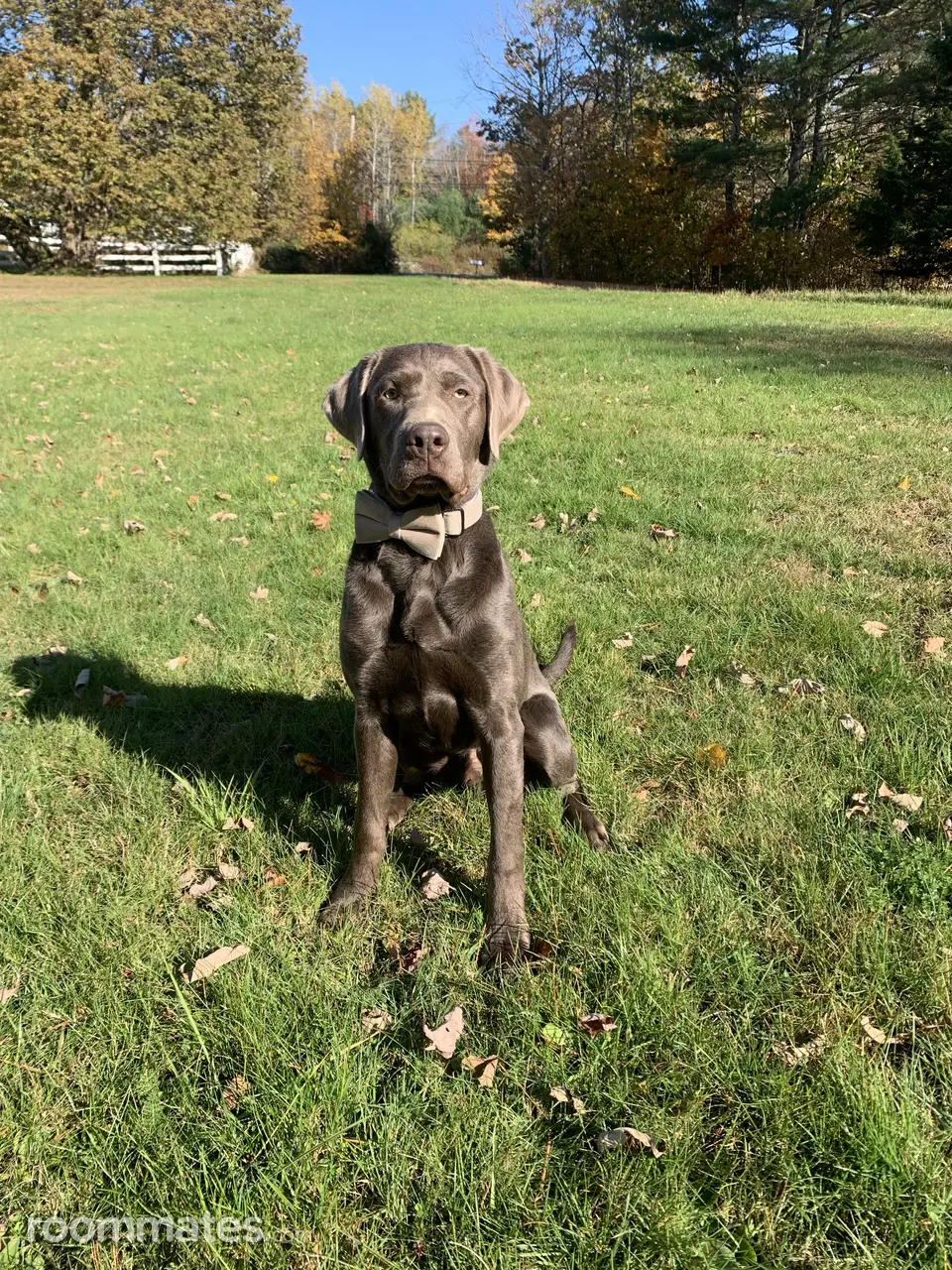 Profile photo 10 of 11