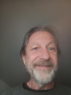 Roommate looking Howell, MI, $500