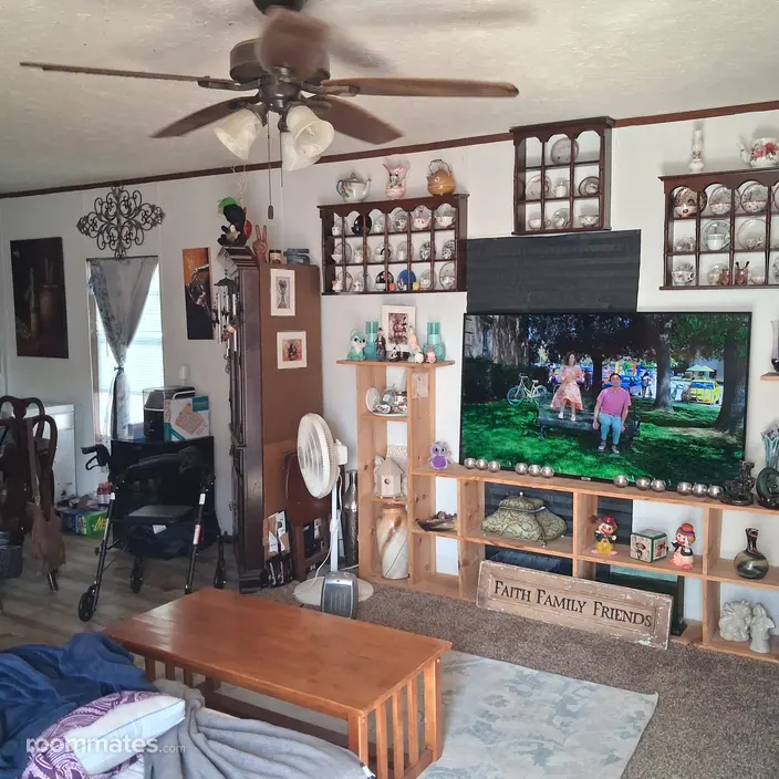 Room for rent in Moscow Mills, MO $700, other