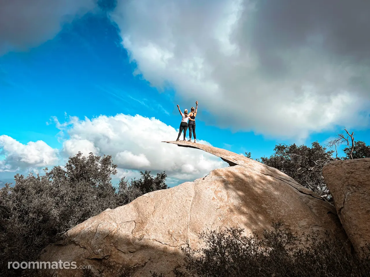 Profile photo 13 of 14