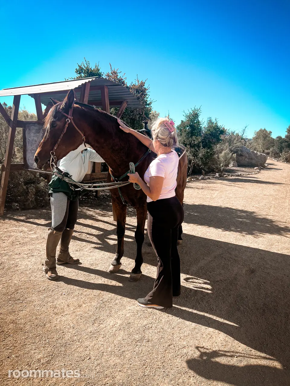 Profile photo 12 of 14