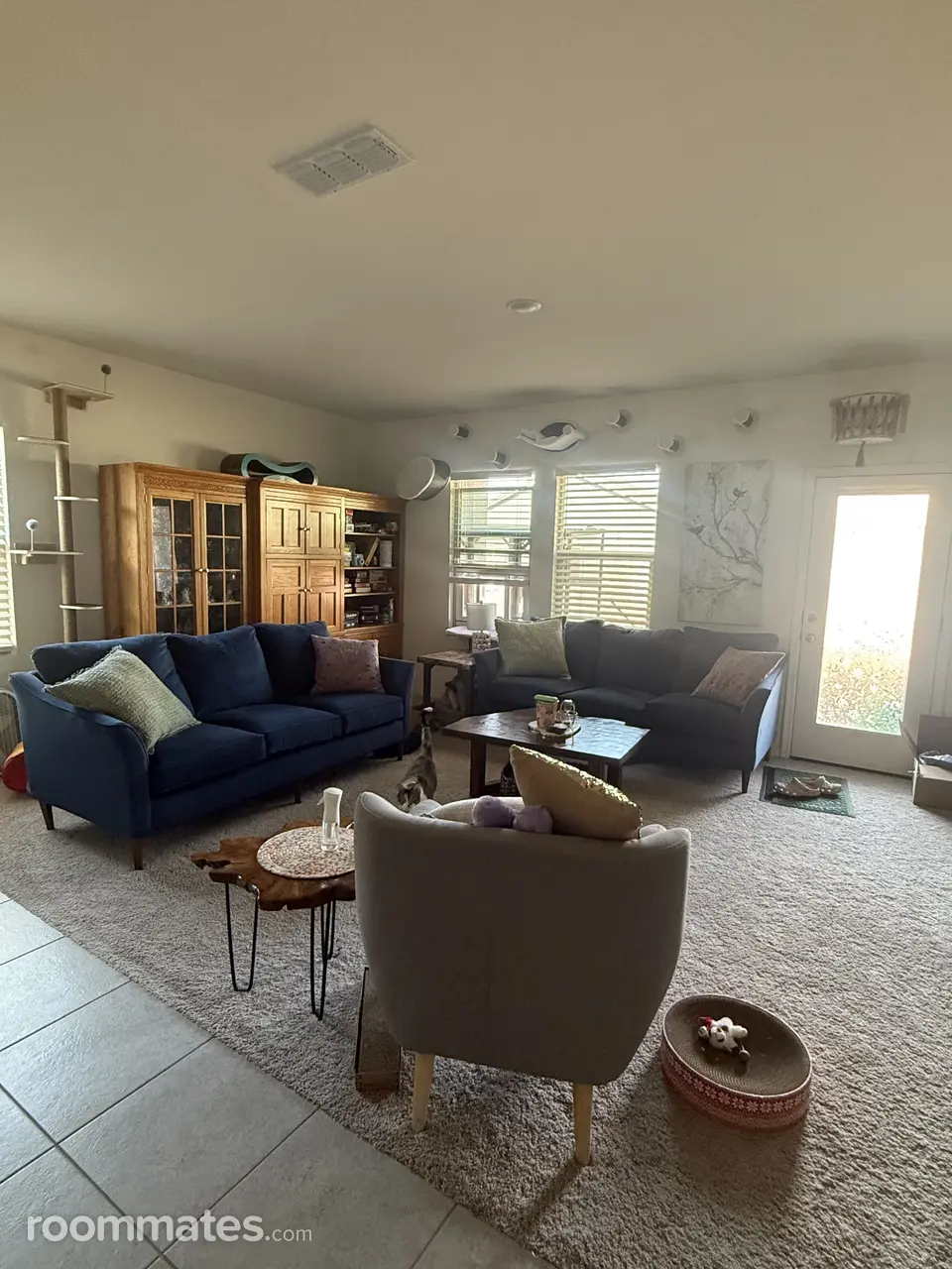 Profile photo 7 of 12