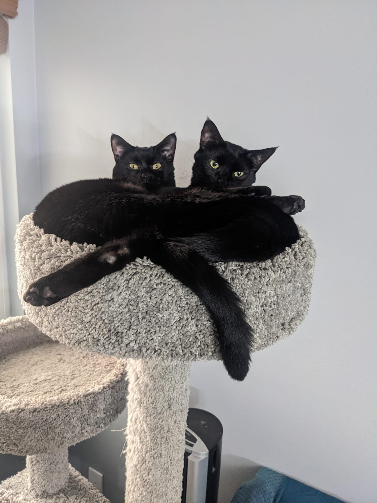 Profile photo 10 of 12