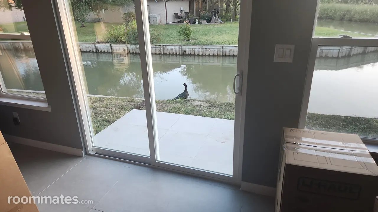 Profile photo 2 of 6