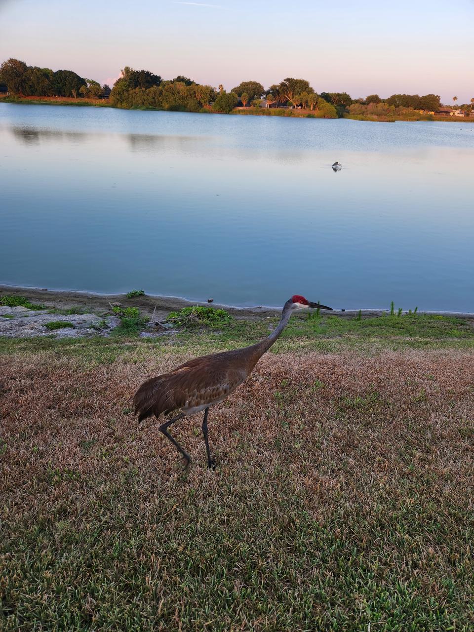 Profile photo 1 of 1