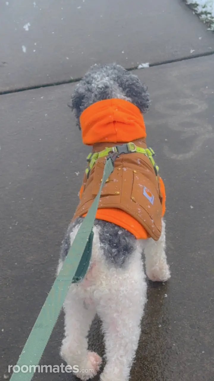 Profile photo 1 of 1