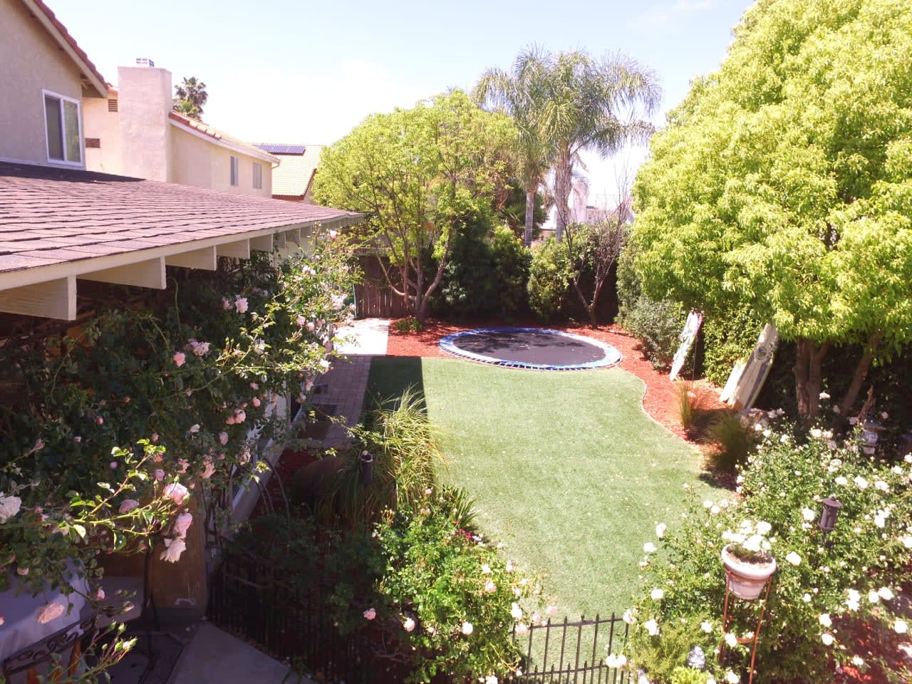 Profile photo 9 of 10