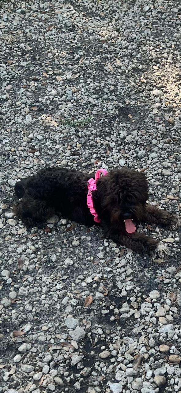 Profile photo 10 of 10