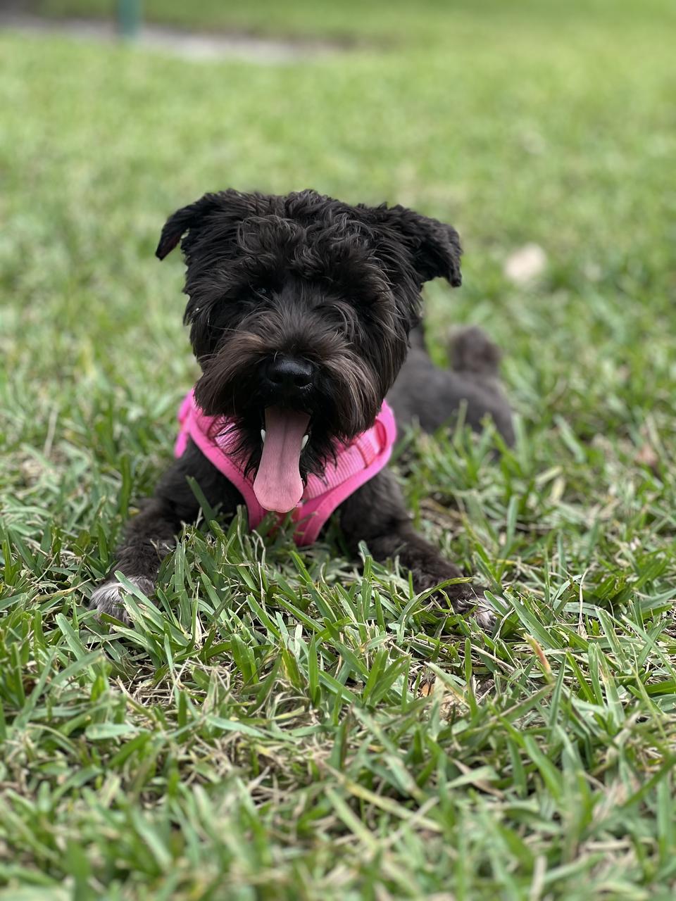 Profile photo 9 of 10