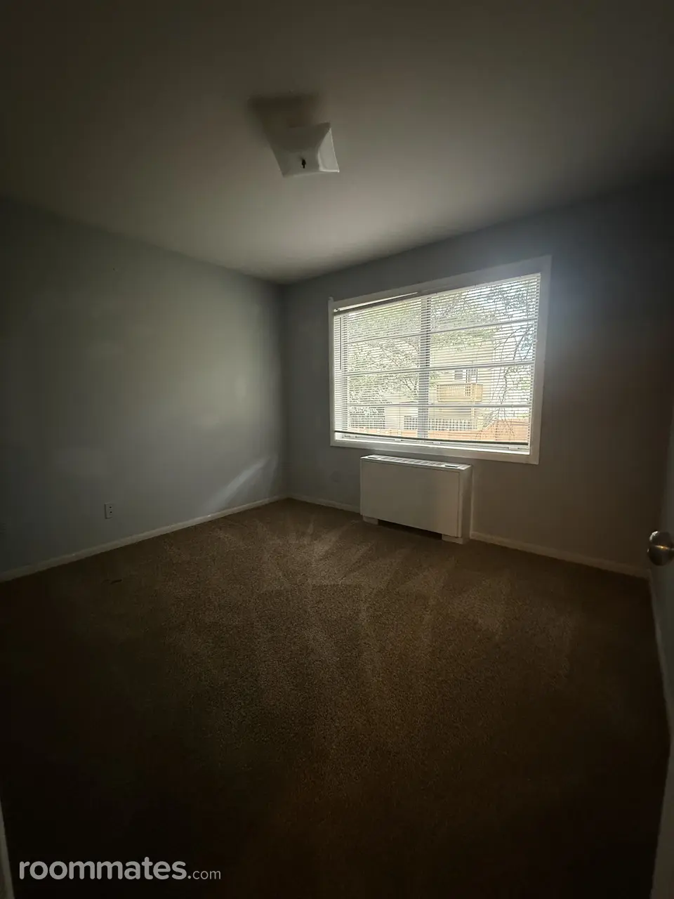 Profile photo 9 of 11